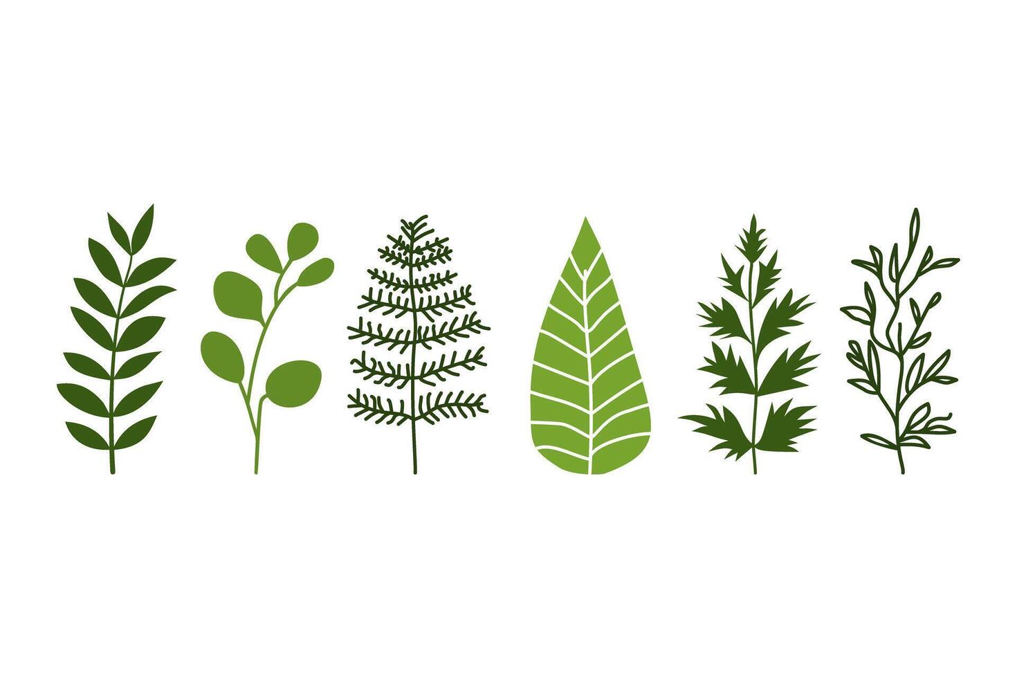 Set of Various Green Leaf Designs vector