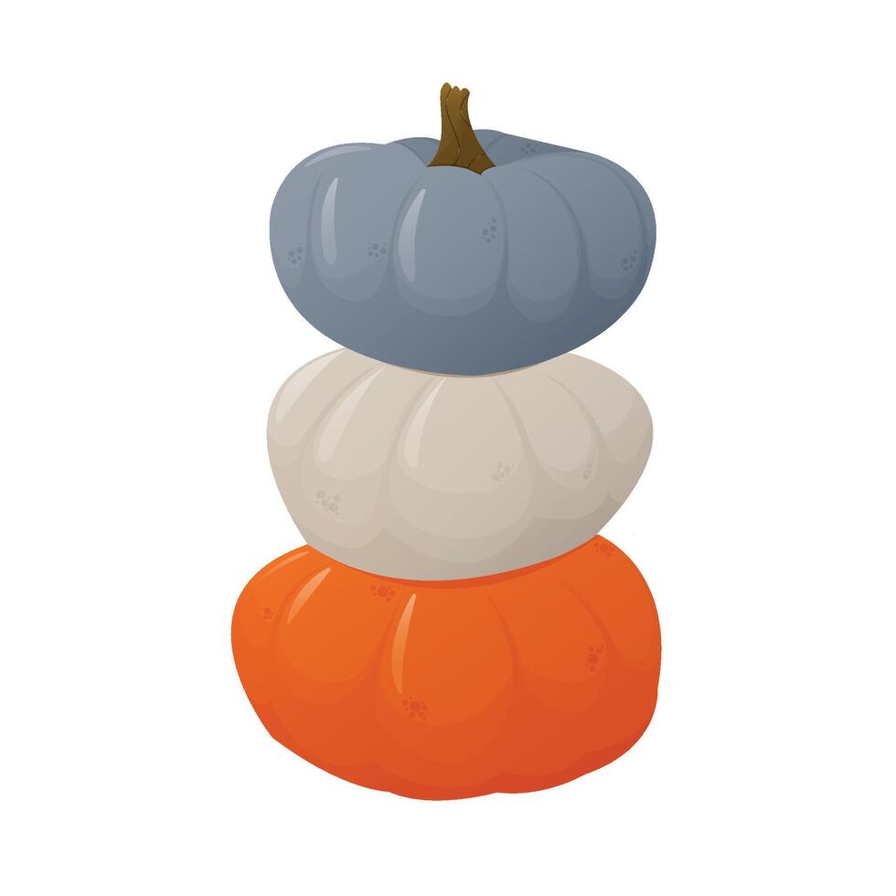 Three colorful pumpkins. Isolated on the white background. Autumn, harvest, thanksgiving day concept. EPS 10 vector