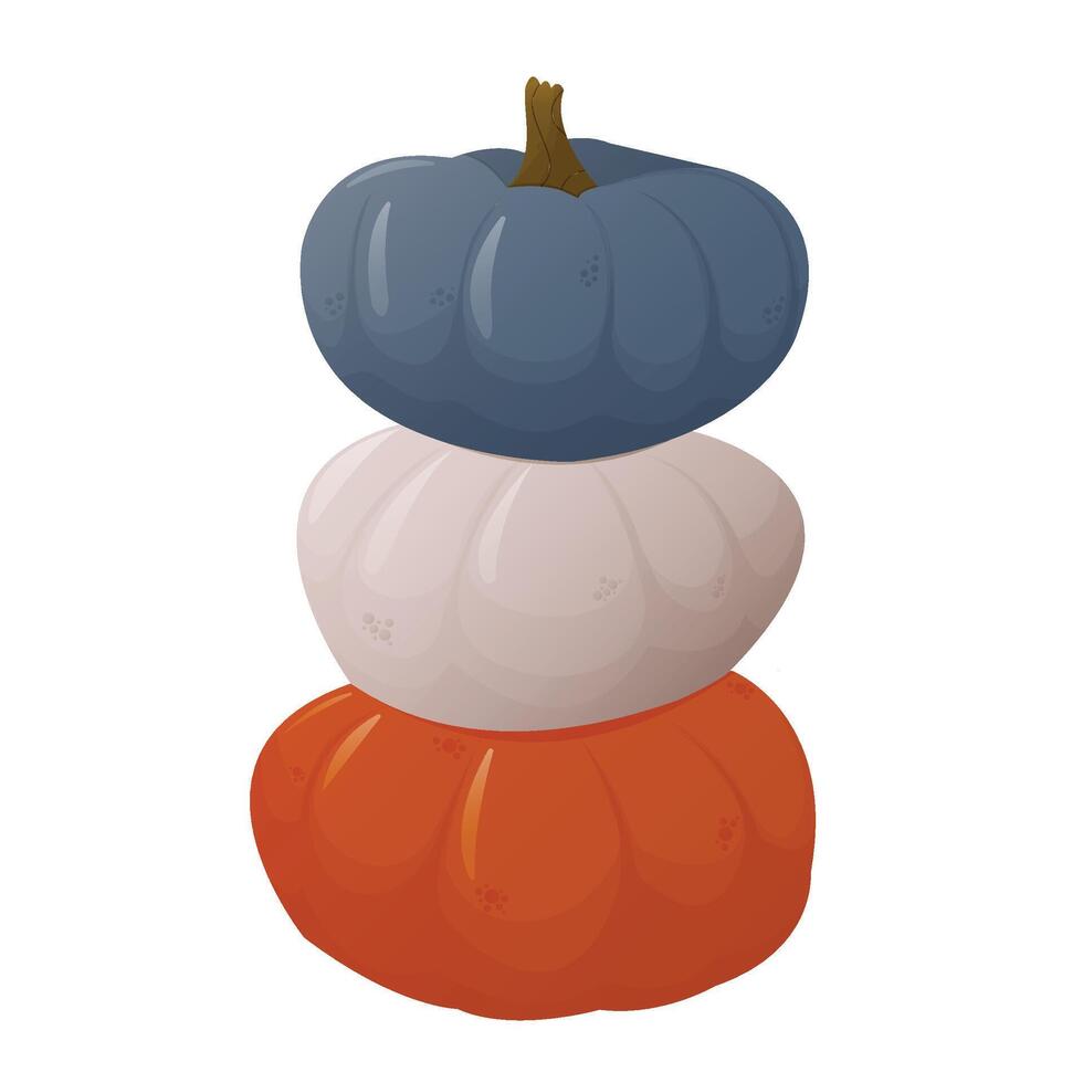 Colorful pumpkins. Isolated on the white background. Autumn, harvest, thanksgiving day concept. EPS 10 vector