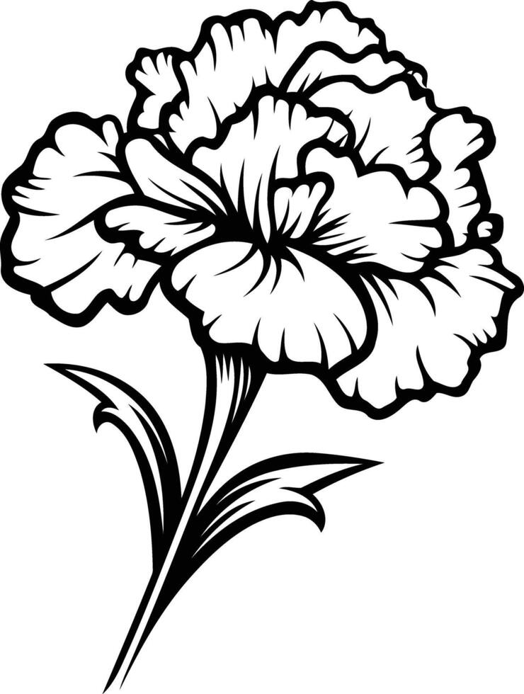 A classic black and white illustration of a single carnation flower with a detailed stem vector