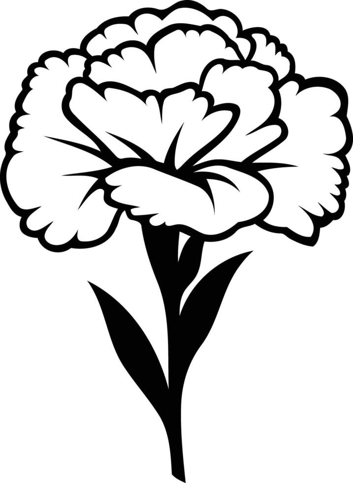 Simple, elegant black and white carnation flower illustration vector
