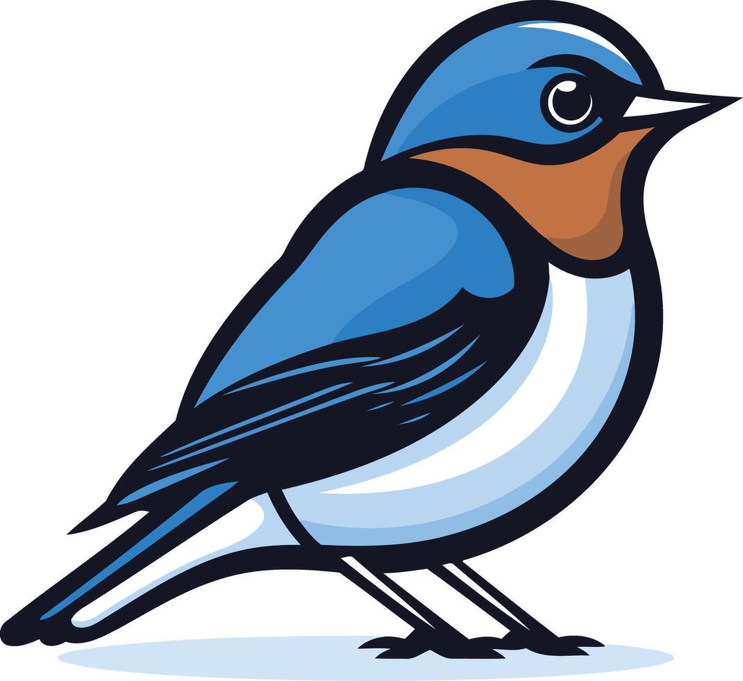 A cute cartoon bluebird with a white belly and black wings vector