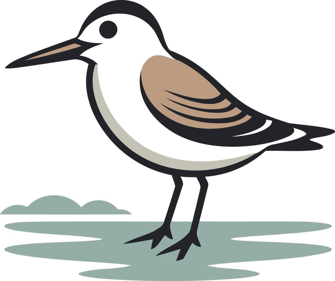 A simple, charming illustration of a sandpiper standing by a body of water vector