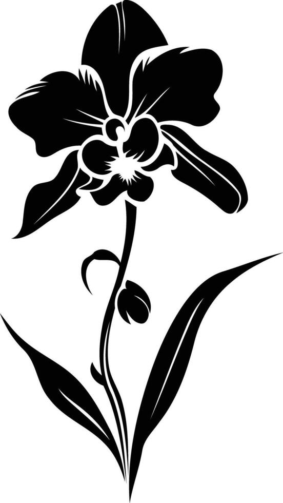 Elegant black and white silhouette of an orchid flower vector