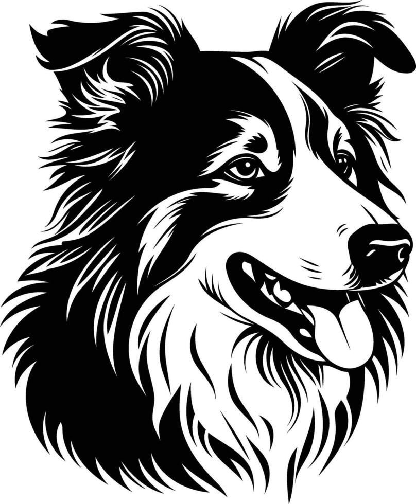 Black and white illustration of a border collie head in profile, perfect for pet lovers and dog breed enthusiasts vector