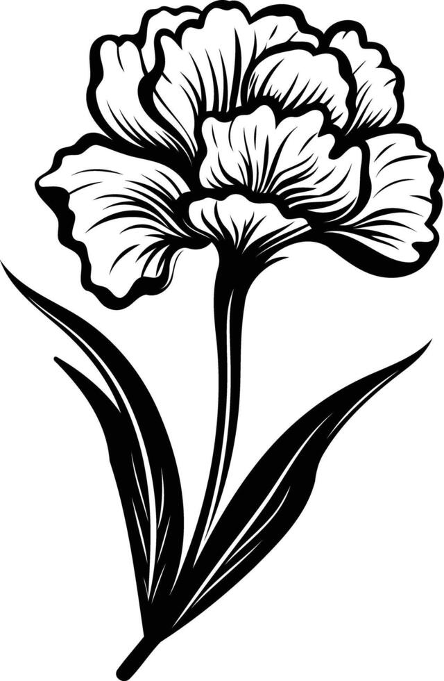 Elegant black and white illustration of a single carnation flower with intricate details vector