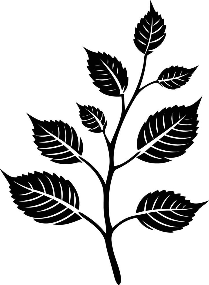 Elegant black and white silhouette of a delicate branch with leaves vector