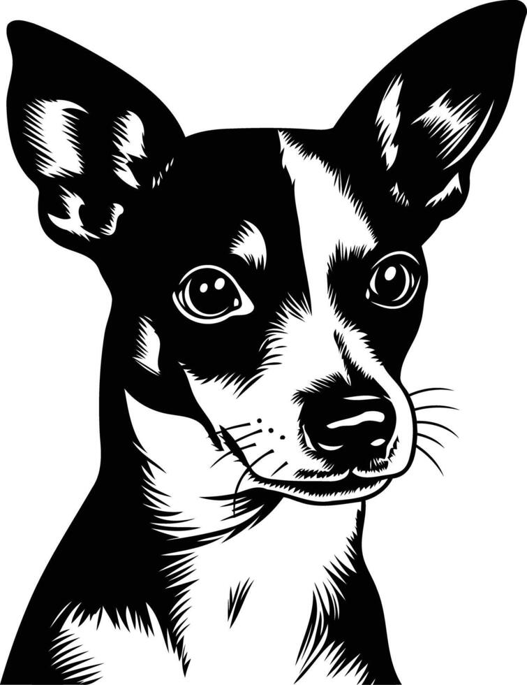 A striking black and white portrait of a chihuahua, capturing its soulful expression and distinctive features vector