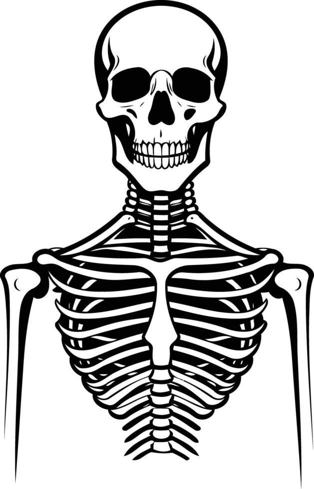 A simple yet powerful illustration of a human skeleton's rib cage and skull vector