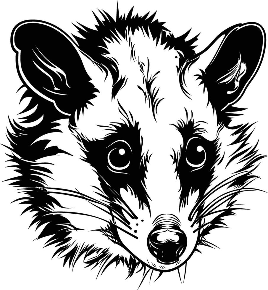 A striking black and white illustration of a raccoon's face, captured in a detailed, expressive line art style vector