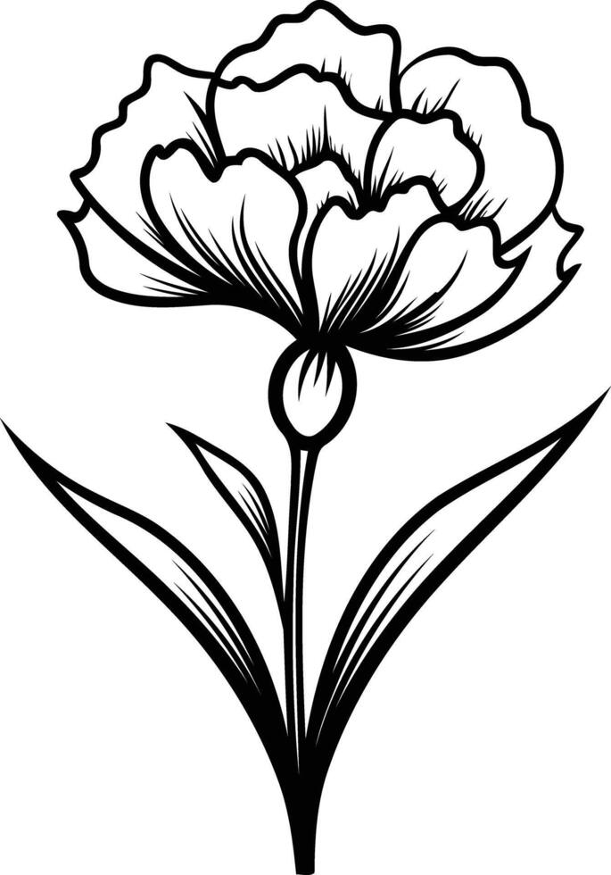 Elegant line art illustration of a single carnation flower with delicate petals and leaves vector