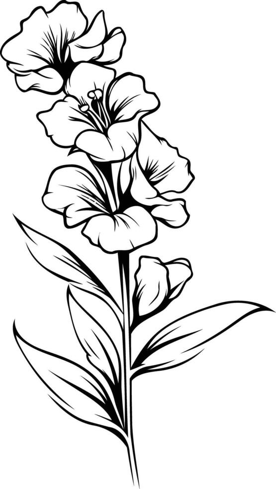 Elegant black and white line art illustration of a delicate flower stem with three blooming flowers and leaves vector