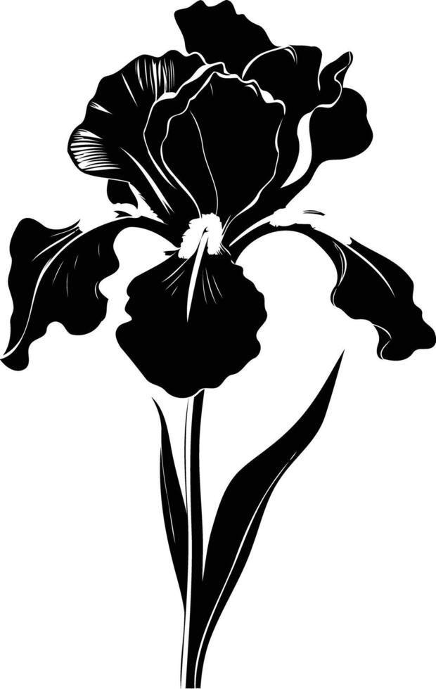 Elegant black and white silhouette of an iris flower, perfect for adding a touch of nature to your designs vector