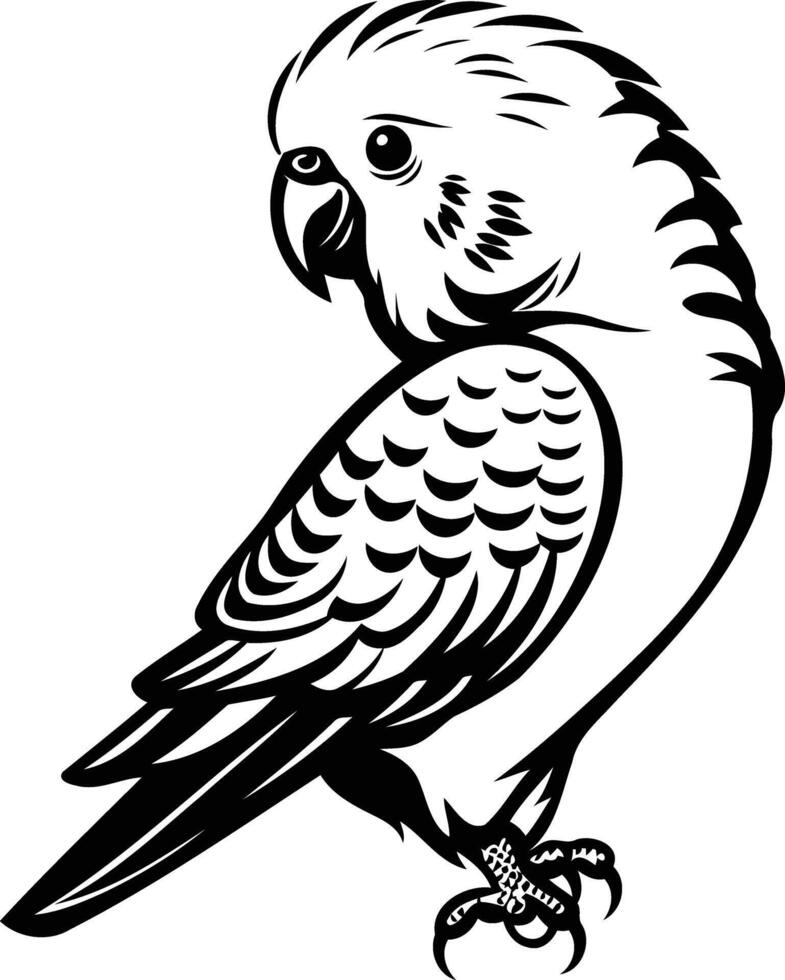 Black and white illustration of a budgie, perfect for tattoos, t shirt designs, or pet themed projects vector