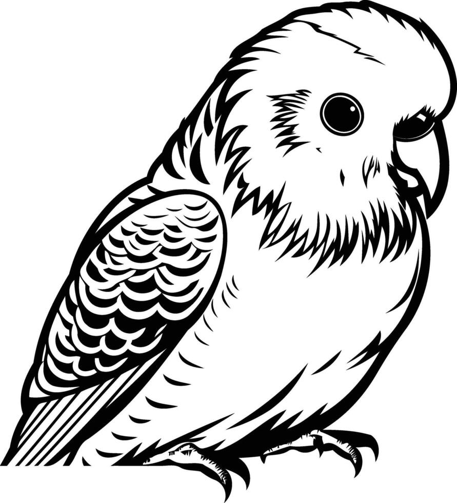 A detailed black and white illustration of a budgie, perfect for coloring pages, tattoo designs, or pet-related projects vector