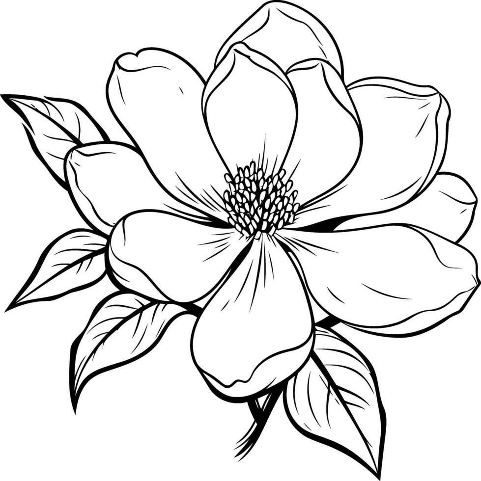 Line art drawing of a delicate magnolia flower, perfect for tattoos, branding, or design projects vector