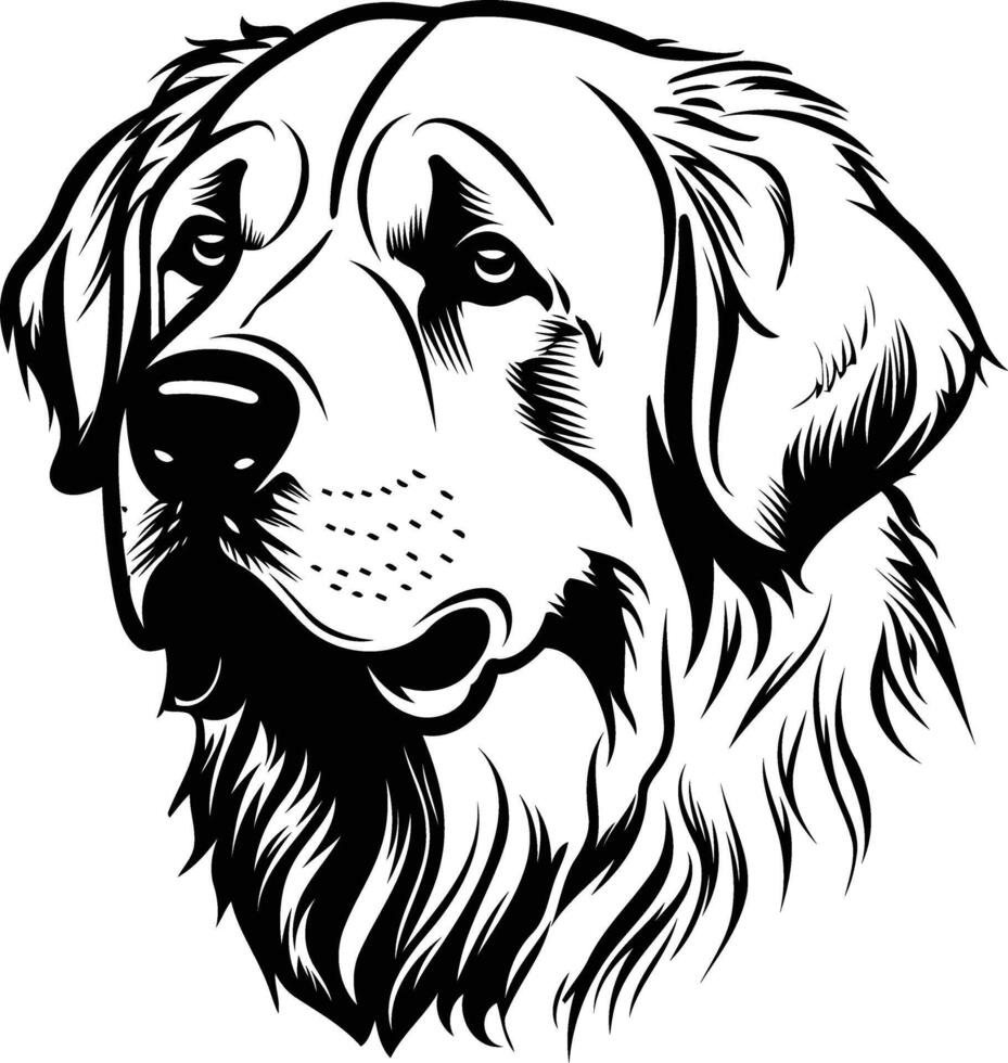 A bold, black and white illustration of a golden retriever's head, perfect for t shirts, pet related designs, and more vector