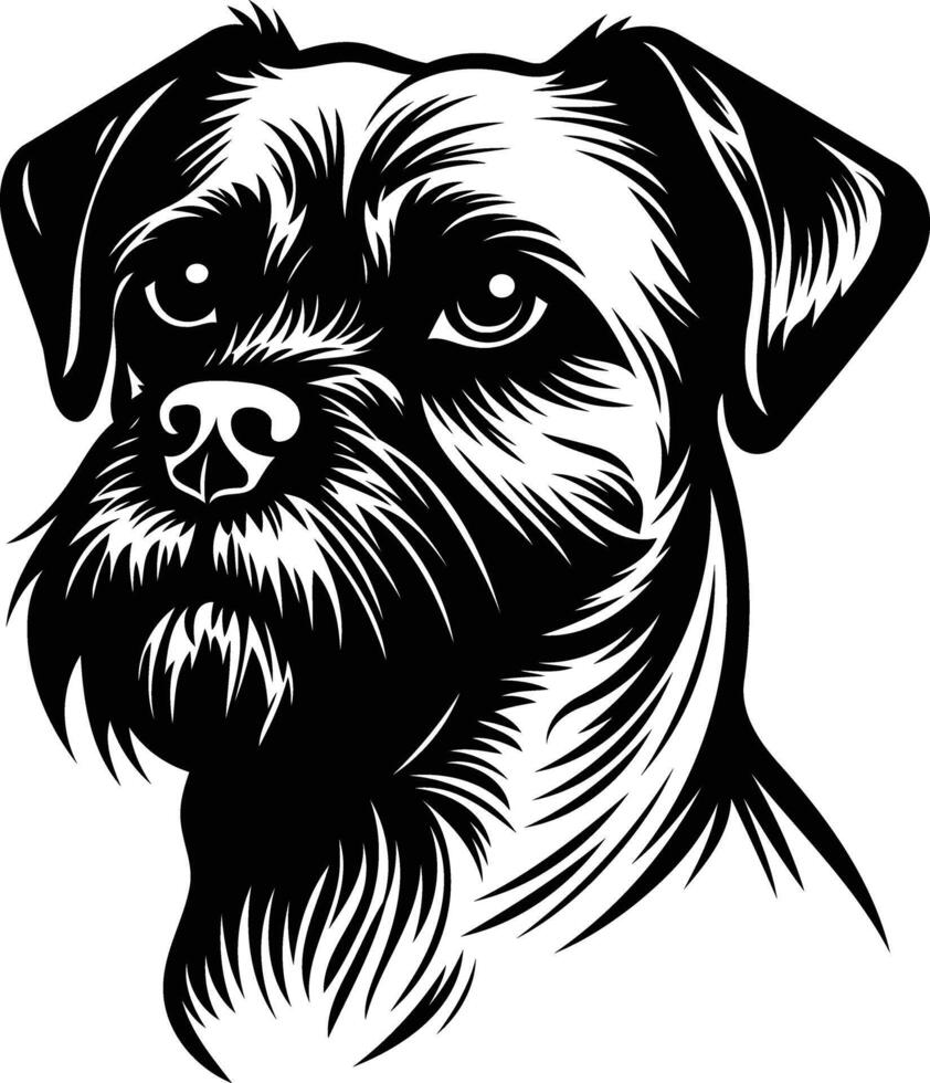 A striking black and white illustration of a border terrier, showcasing its distinctive features and personality vector