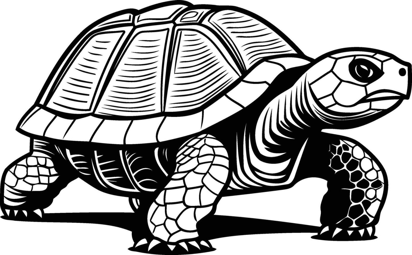 Black and white element illustration of a turtle, perfect for branding, t shirts, or animal themed designs vector