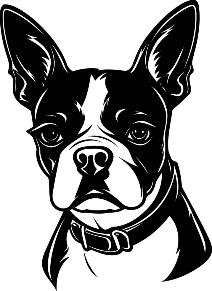 A striking black and white portrait of a boston terrier, captured in a classic profile pose vector