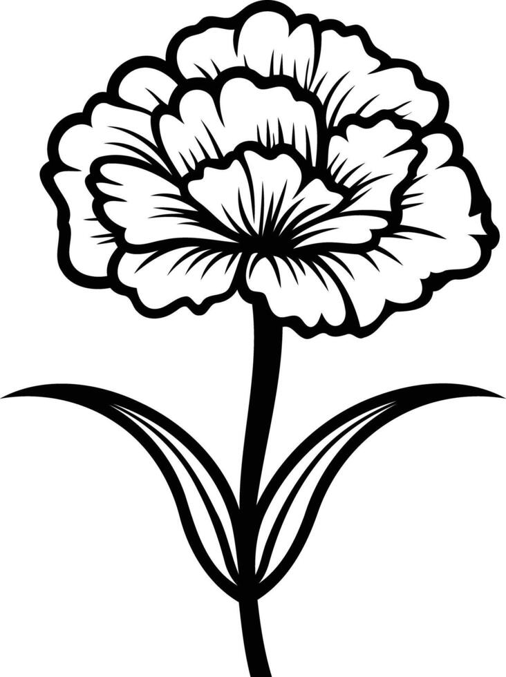 Simple black and white line art illustration of a single carnation flower vector