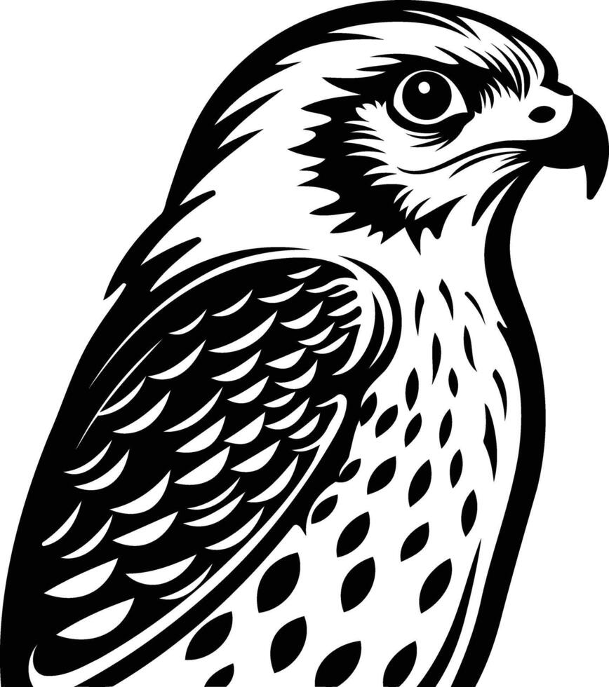 A bold, black and white illustration of a fierce hawk, perfect for tattoo designs, branding, and graphic projects vector