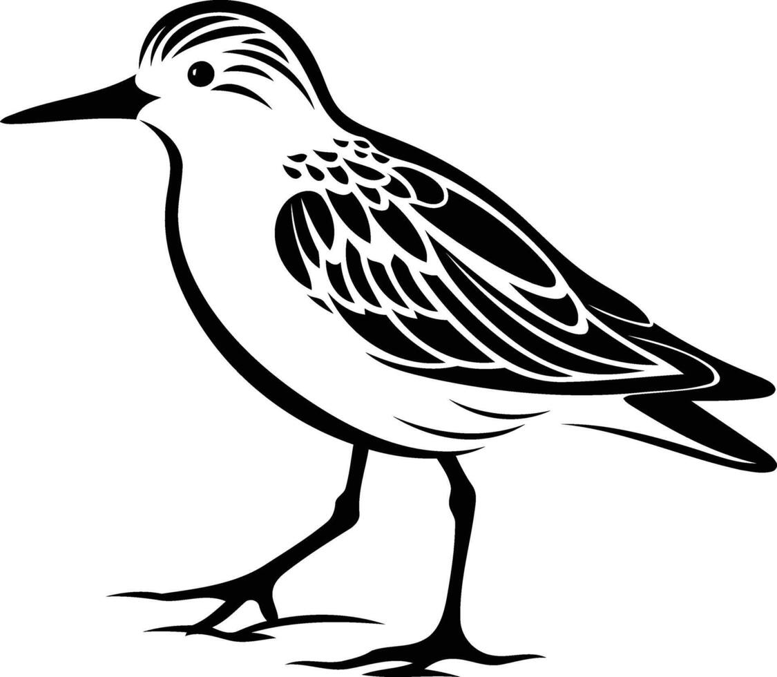 Black and white illustration of a sandpiper bird with detailed feathers, perfect for nature, wildlife, and tattoo designs vector