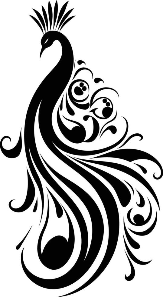 Elegant black and white peacock design vector