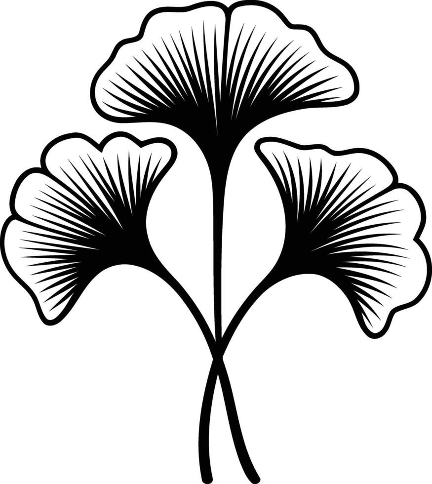 Elegant black and white illustration of a ginkgo biloba leaf vector