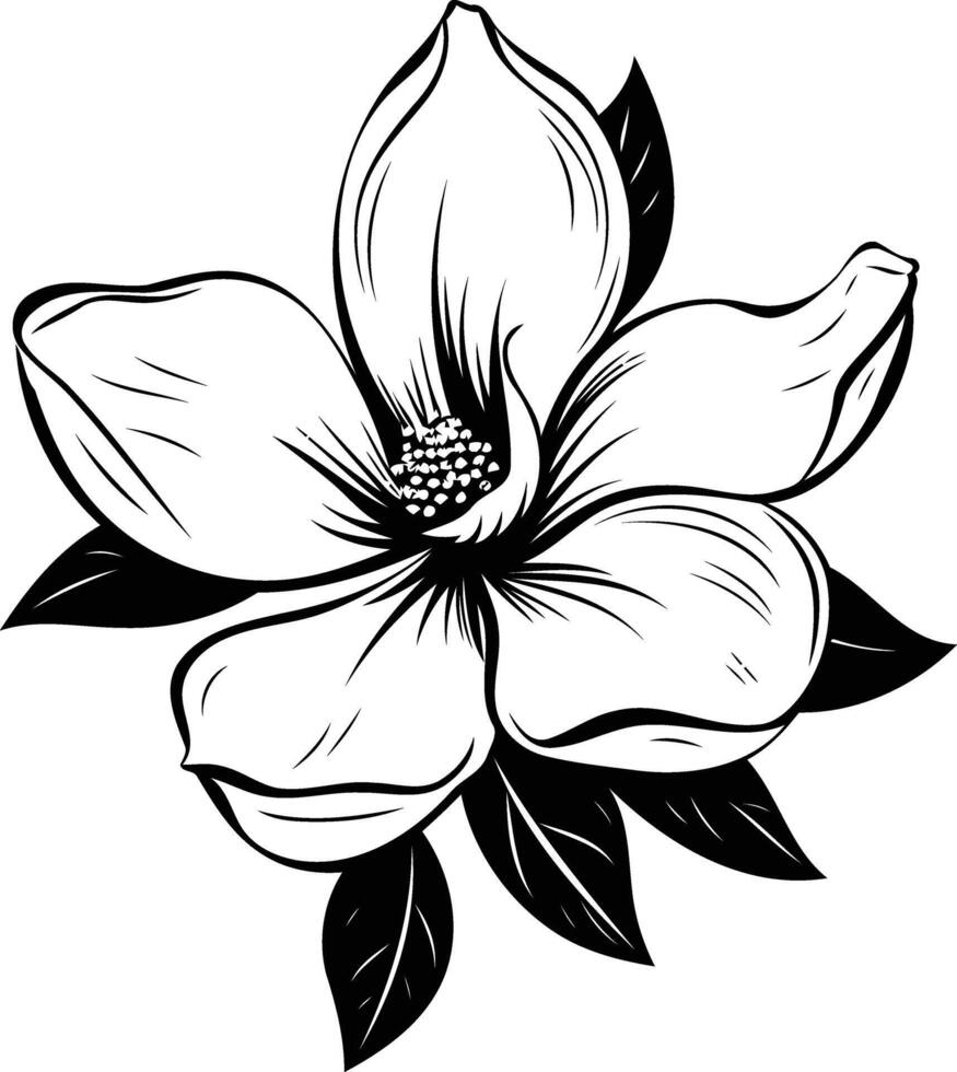 Black and white illustration of a magnolia flower with detailed petals and leaves vector