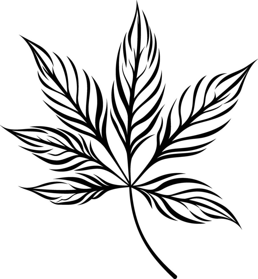 Black and white element illustration of a stylized leaf with intricate line detail, perfect for tattoo designs, nature-themed prints, or botanical illustrations vector