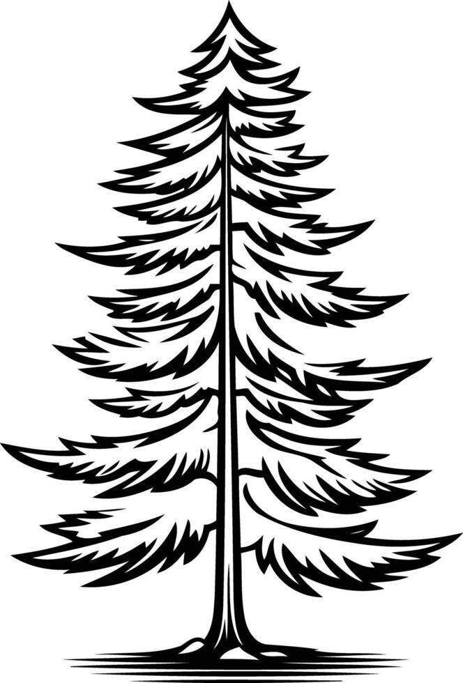A simple yet elegant black and white illustration of a pine tree vector