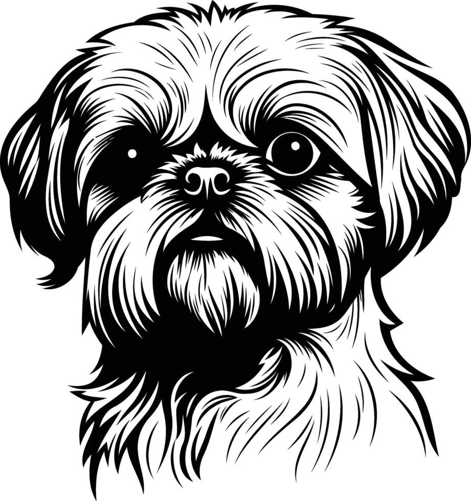 A detailed black and white illustration of a shih tzu dog, perfect for pet related designs, logos, and prints vector