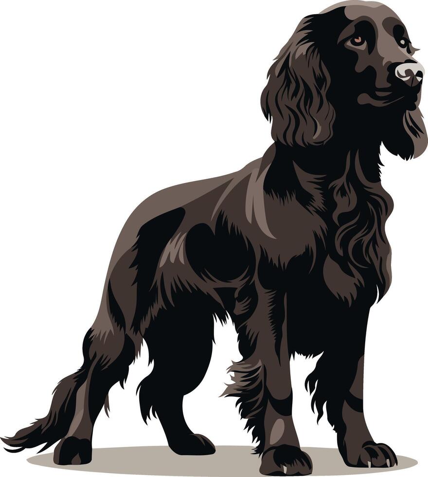 A Black Cocker Spaniel Standing Proudly vector