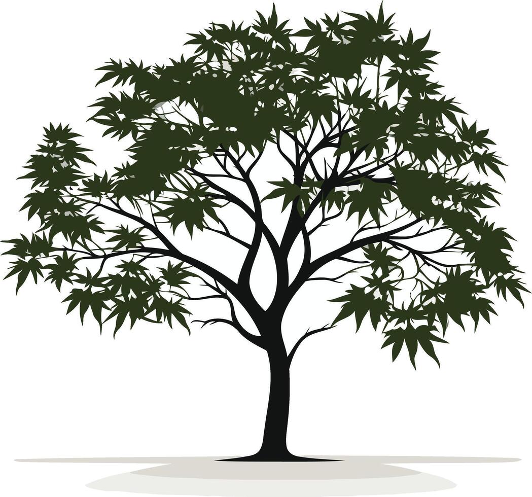 Green Tree Silhouette on a White Background vector