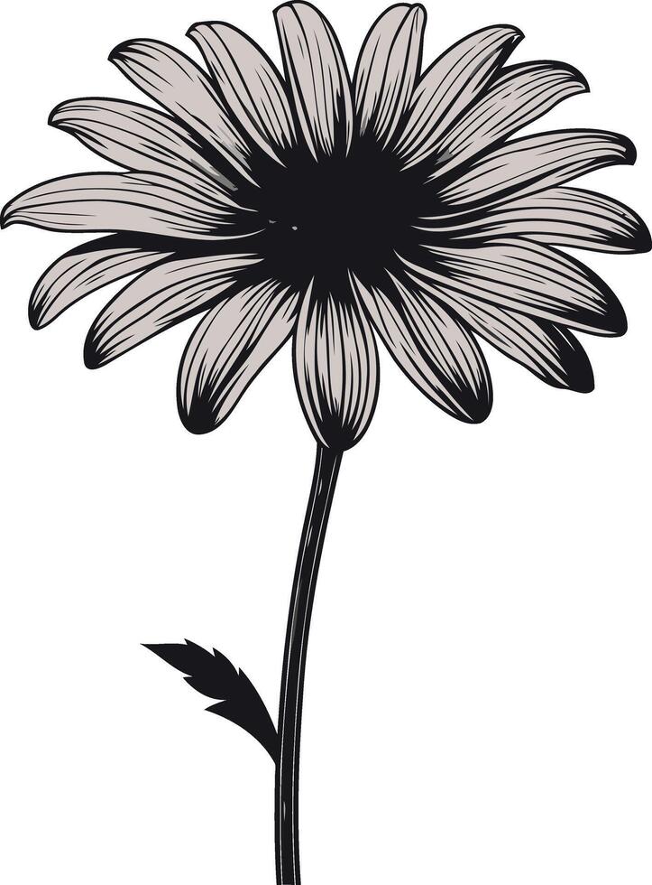 Single Daisy Flower Illustration vector
