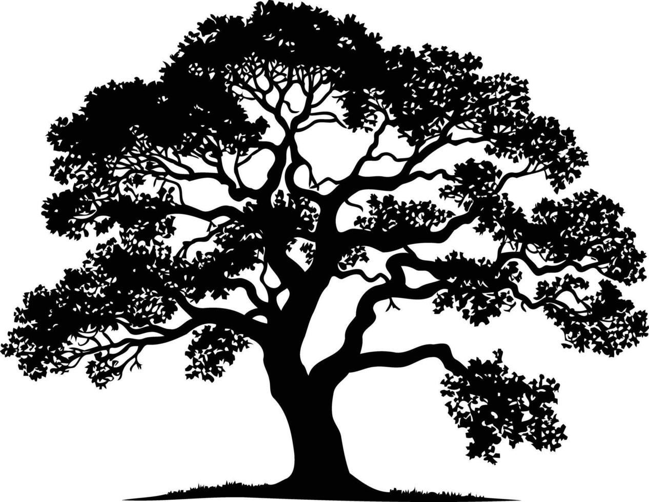 A striking silhouette of a large, majestic tree with sprawling branches vector
