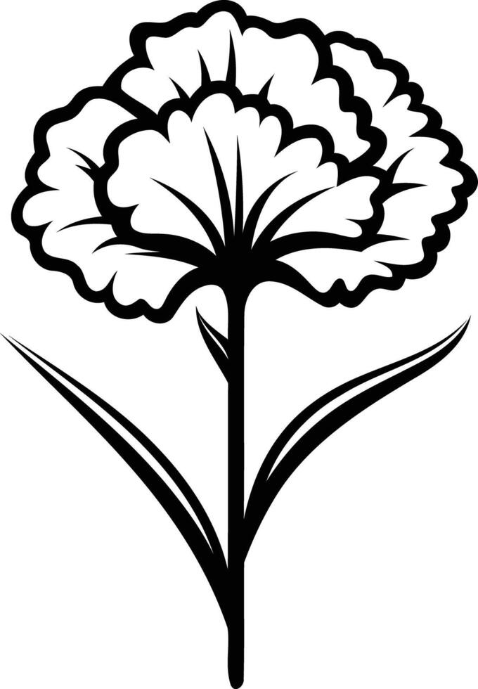 Simple black and white illustration of a carnation flower, perfect for adding a touch of elegance to your designs vector