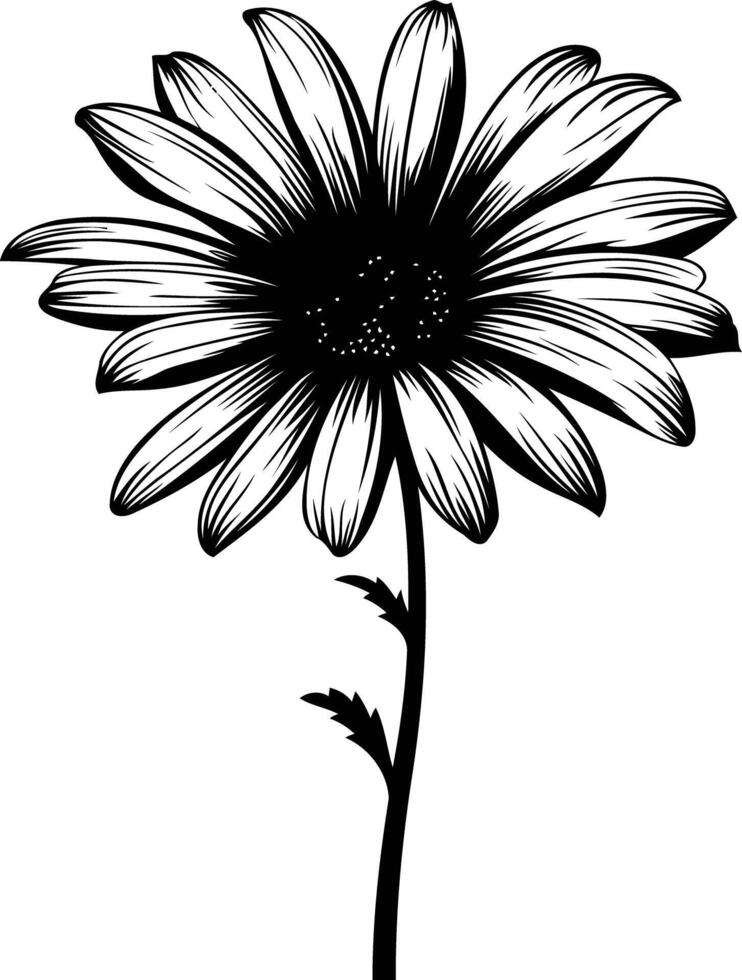 A delicate black and white silhouette of a daisy with intricate details vector