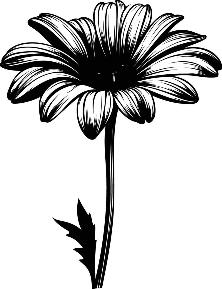 Elegant black and white silhouette of a single daisy flower vector