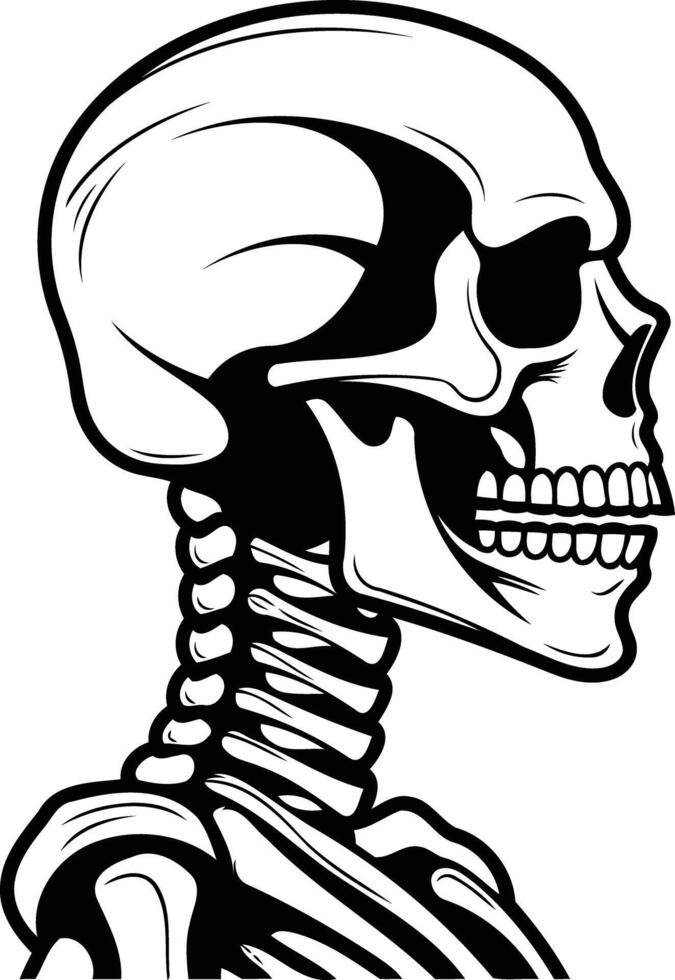 A detailed illustration of a skull and upper spine, perfect for tattoo designs, halloween decorations, or gothic themed projects vector