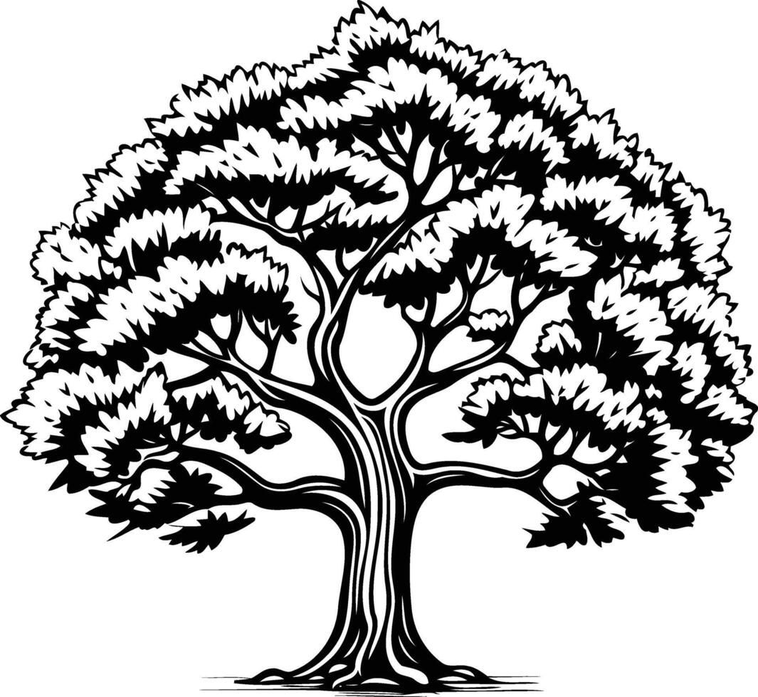 A simple, yet elegant black and white illustration of a large, strong oak tree vector
