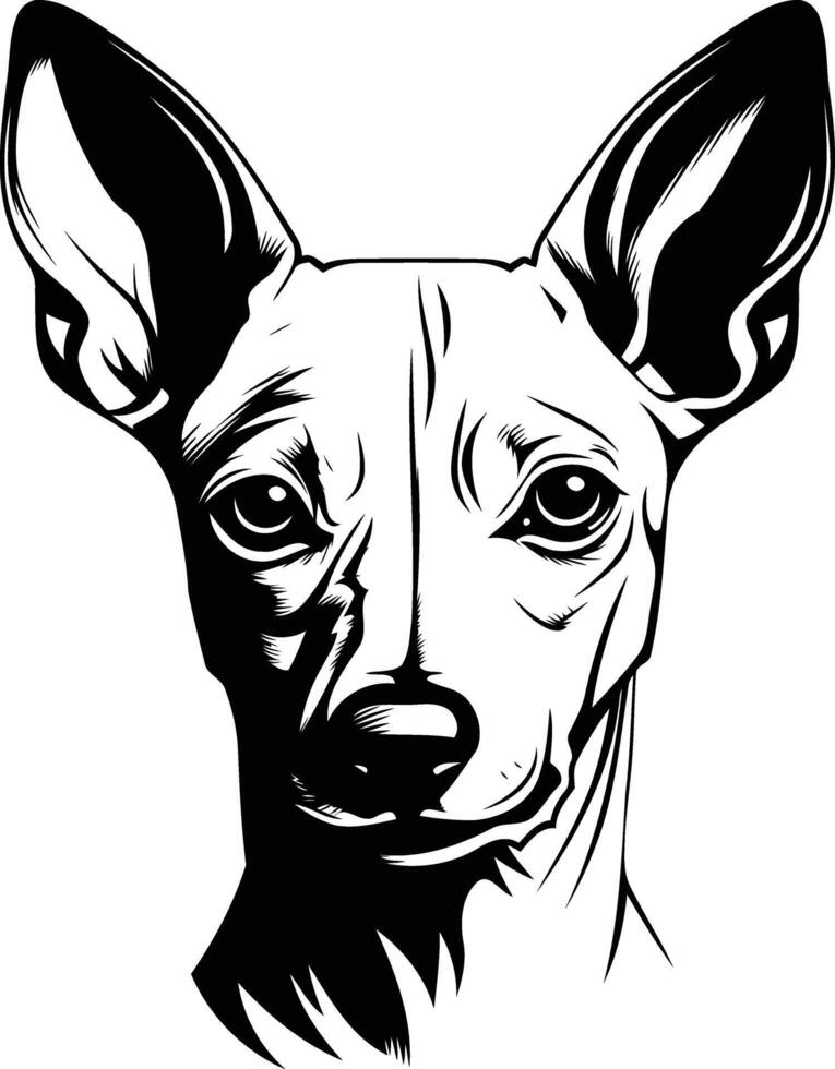 Black and white illustration of a xoloitzcuintli dog's head, perfect for tattoo designs, pet portraits, or decorative projects vector