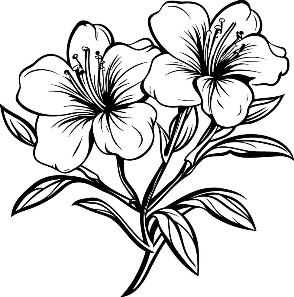 Elegant black and white illustration of two blooming flowers with detailed leaves and stems vector