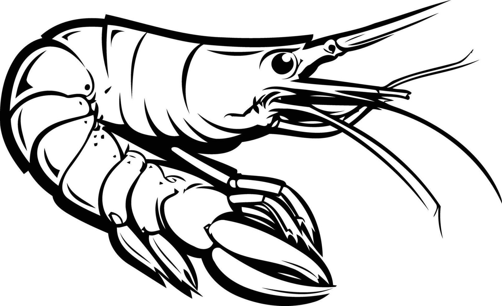 A bold, black and white illustration of a shrimp, perfect for adding a touch of nautical flair to your designs vector