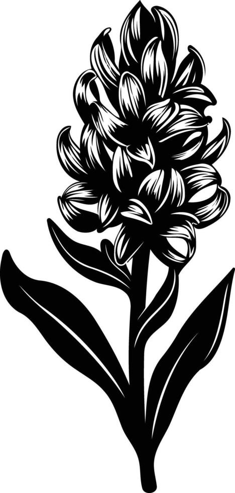 Elegant black and white silhouette of a hyacinth flower, perfect for floral designs, greeting cards, or decorative elements vector