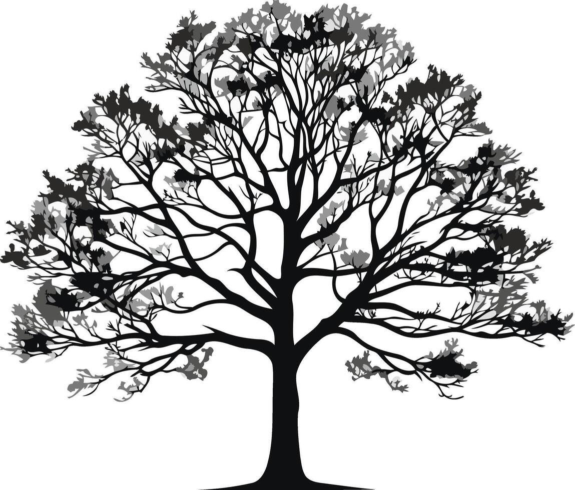 Silhouette of a Deciduous Tree vector