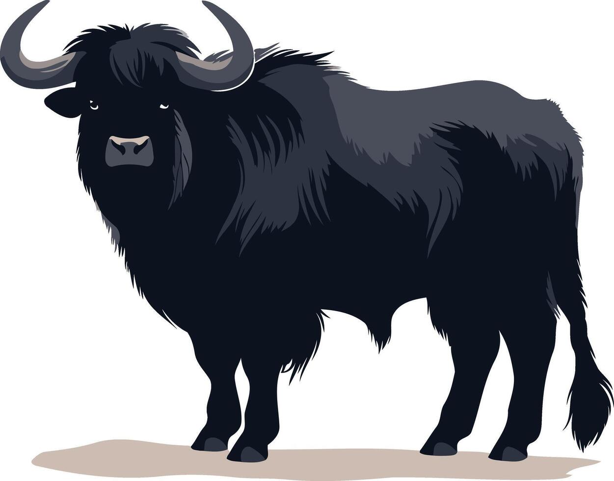 Black Yak with Curved Horns vector