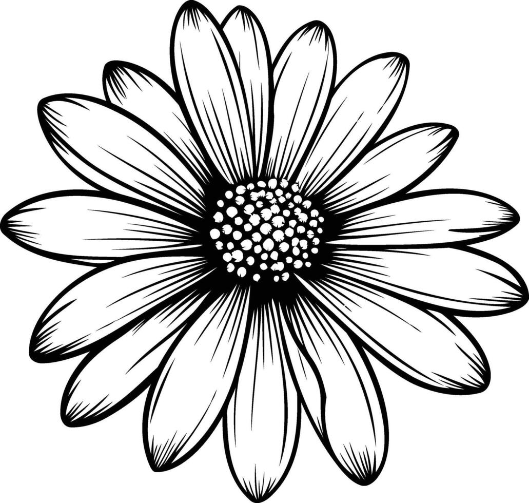 A detailed line drawing of a daisy flower, perfect for tattoo designs, floral illustrations, and decorative elements vector