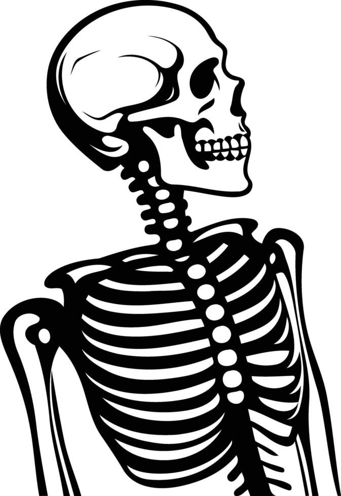 A simple, striking illustration of a human skeleton, perfect for halloween designs, anatomy visuals, or spooky graphics vector